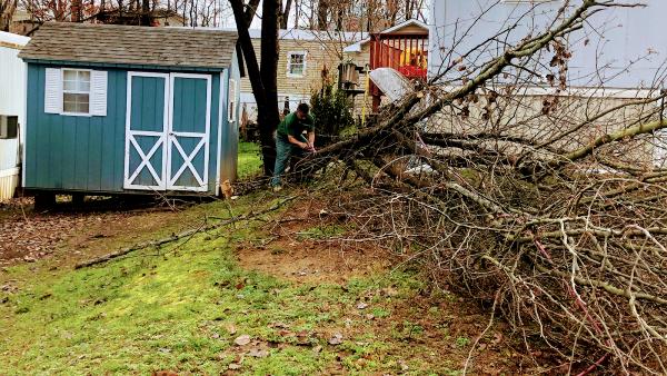 TNT Landscaping & Lawncare Llc