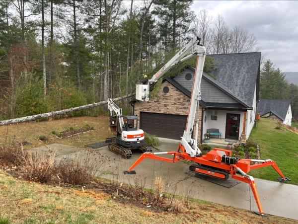 Earthworks Tree Services