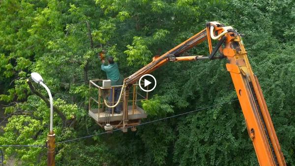 Yavapai Landscaping Prescott