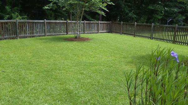 Amazing Spaces Lawns Unlimited