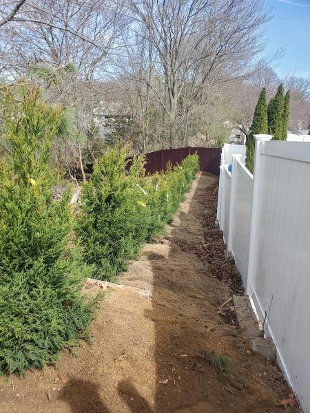 Greenlight Landscaping Corp & Tree Services