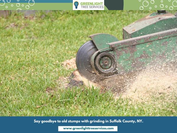 Greenlight Landscaping Corp & Tree Services