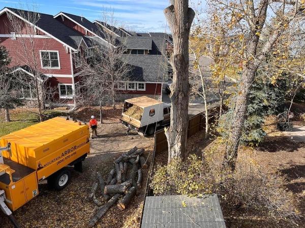 Mountain Arbor Works