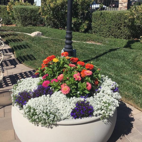 Adams Landscaping