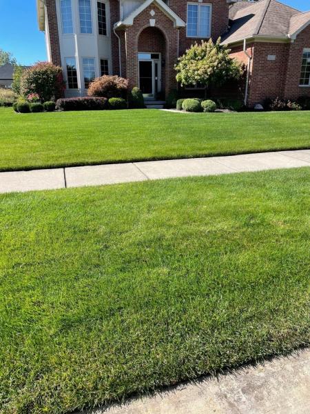 Dynamic Lawn & Landscape