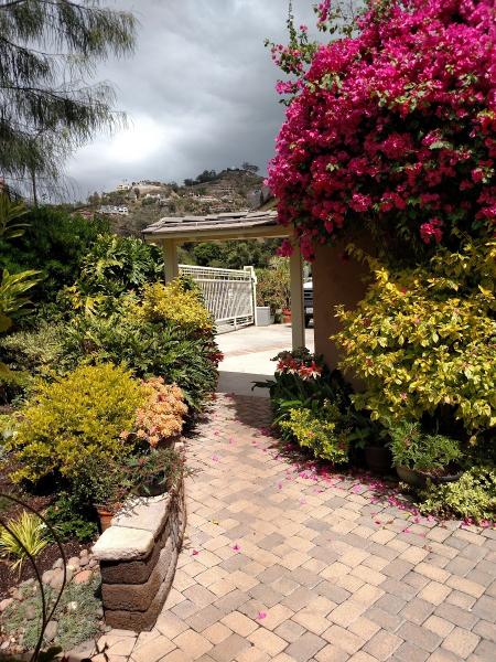 Natural Aspect Gardenscape