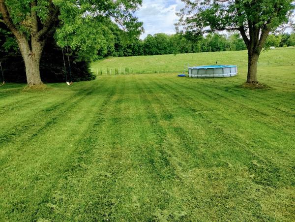 Calton's Lawn Care and Home Improvements