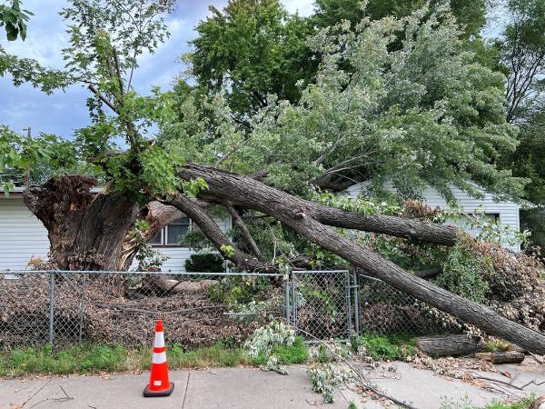 Top Rite Tree LLC