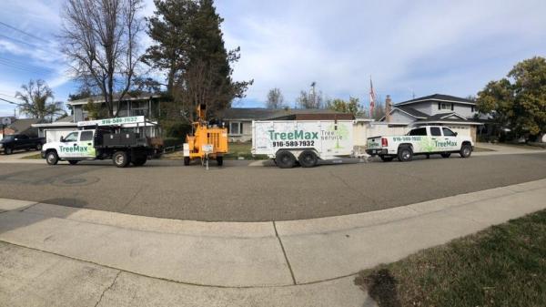 Treemax Tree Service