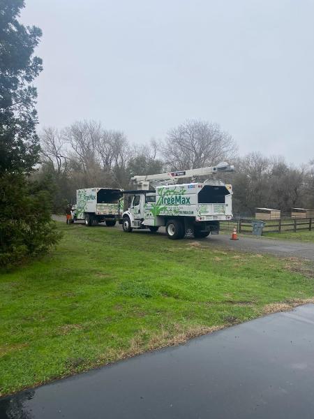 Treemax Tree Service