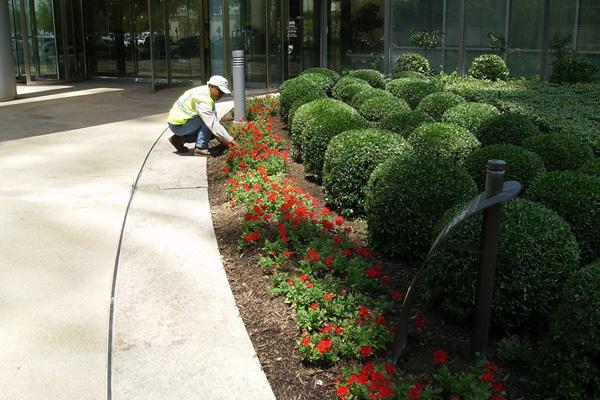 Four Seasons Lawn & Landscaping Services