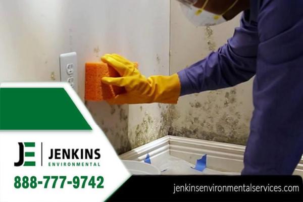 Jenkins Environmental Services