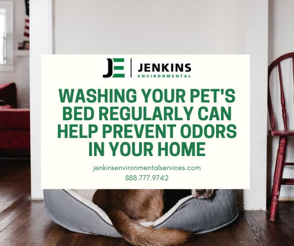 Jenkins Environmental Services