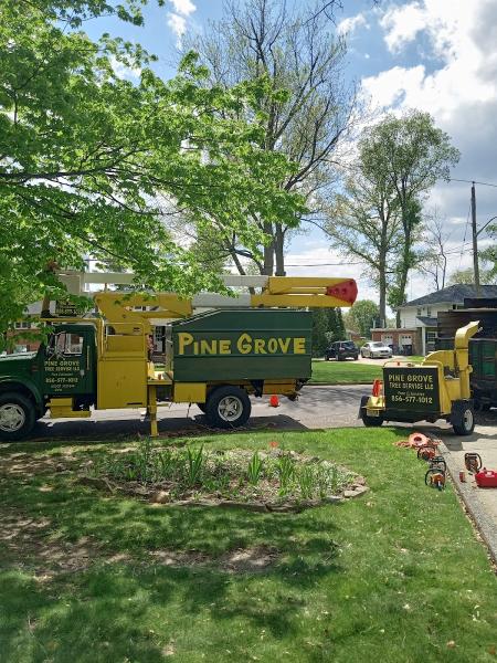 Pine Grove Tree Service