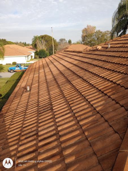 Vince's Pressure Washing & Soft Washing