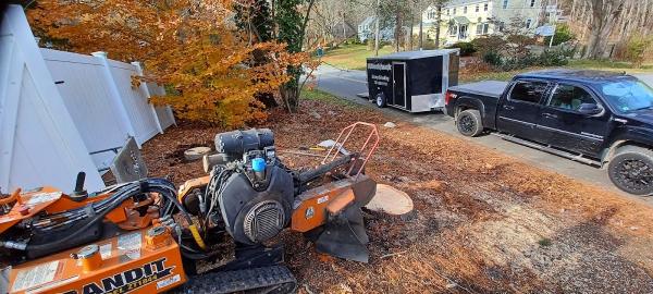 Woodchuck Stump Grinding