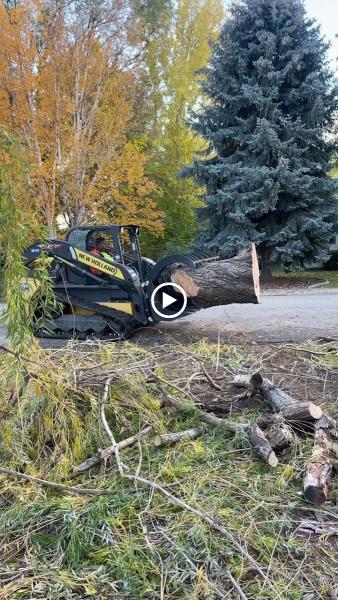 Advanced Tree Experts & Landscaping