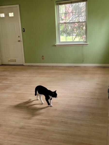 Sheridan's Wood Floors