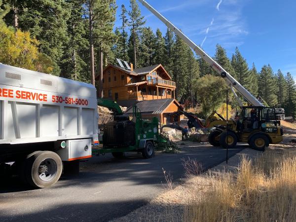 Tahoe Park Tree Service Tahoe Park Snow Job
