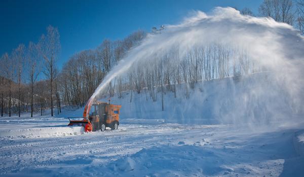 Tahoe Park Tree Service Tahoe Park Snow Job
