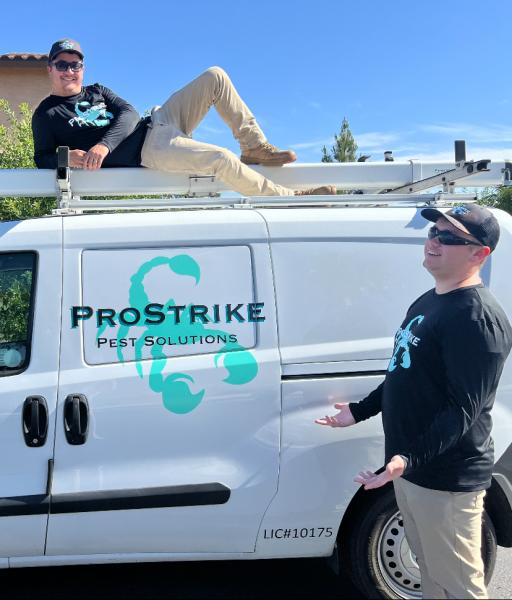 Prostrike Pest Solutions