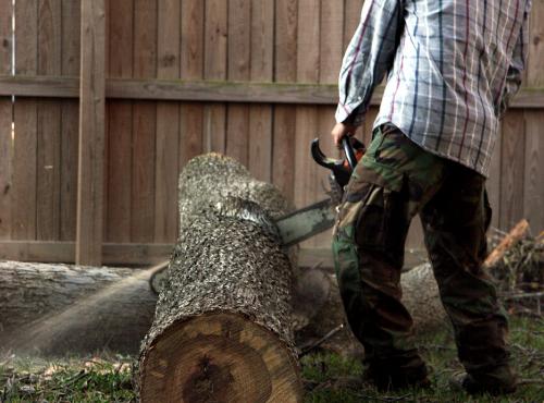 Tree Service Manteca CA