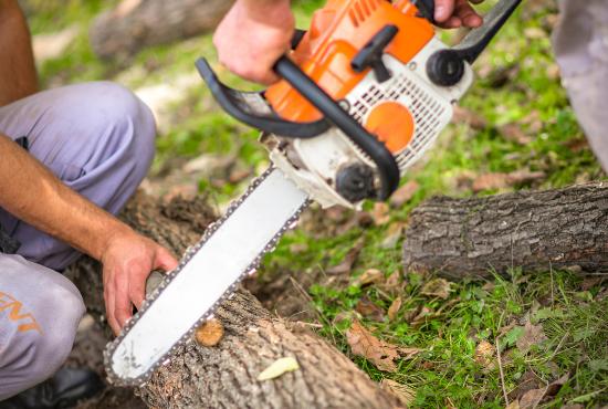 Tree Service Manteca CA
