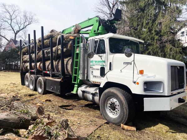 ALL Seasons Tree Services