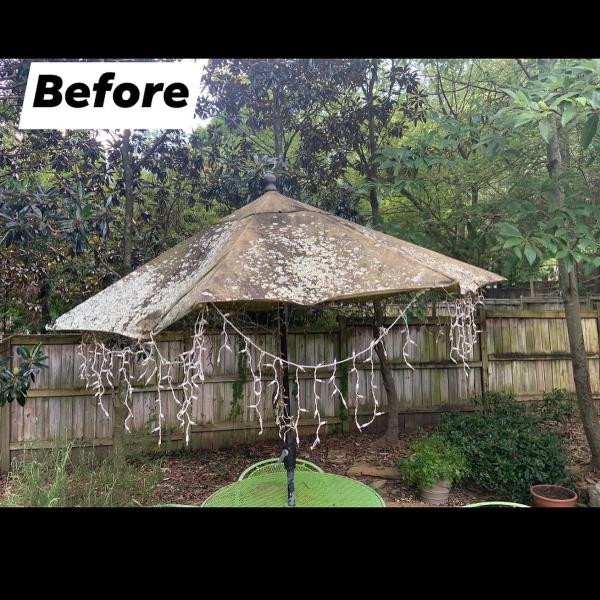 Caddle Pressure Washing