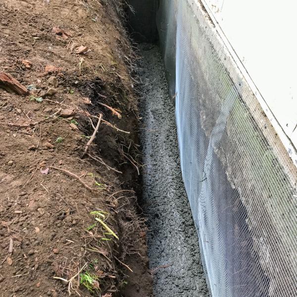 Tamalpais Rodent Solutions