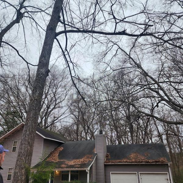 Carolina Storm Roofing