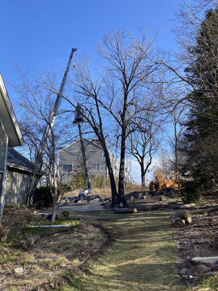 Arbor Valley Tree Service