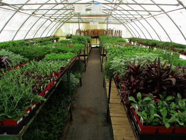 Green Spot Inc