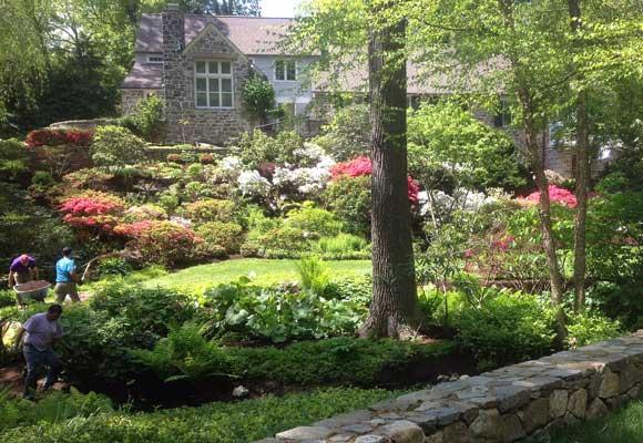 Les Arbres Tree Service & Fine Gardening