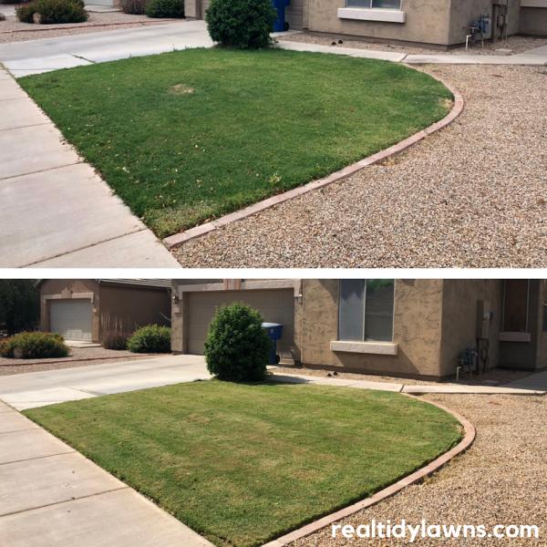 Tidy Lawns