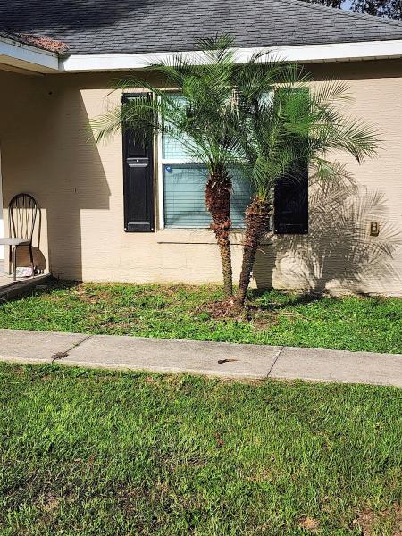Lawnscape