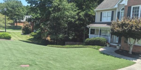 Excellawnt Care Inc.