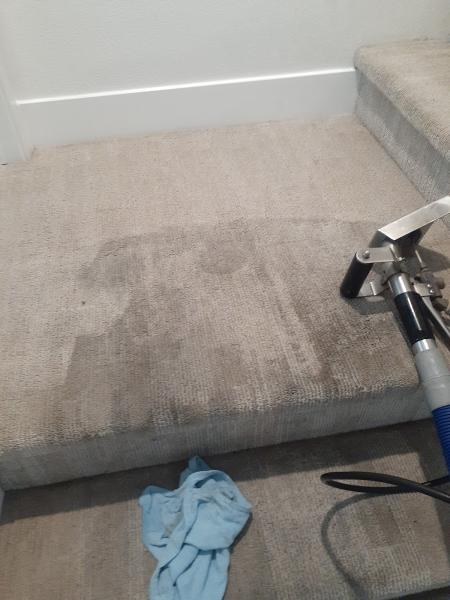 Hageman Carpet Care