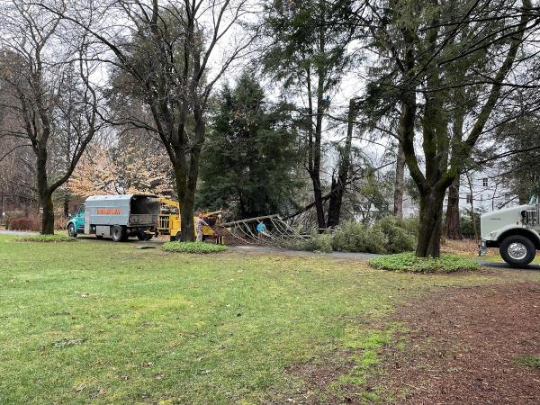 Grimshaw Tree Services & Nursery Co