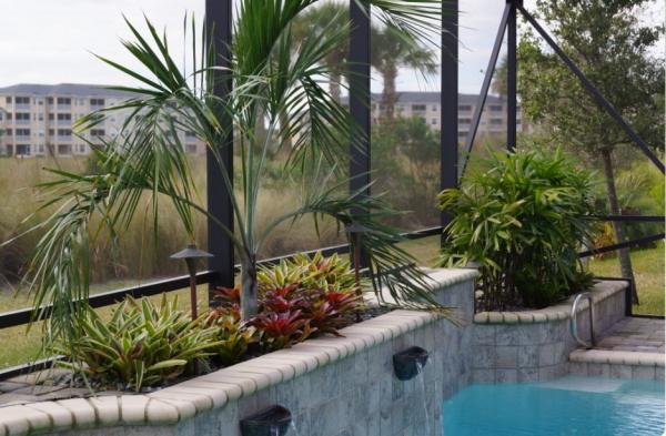 Tropic Greenery