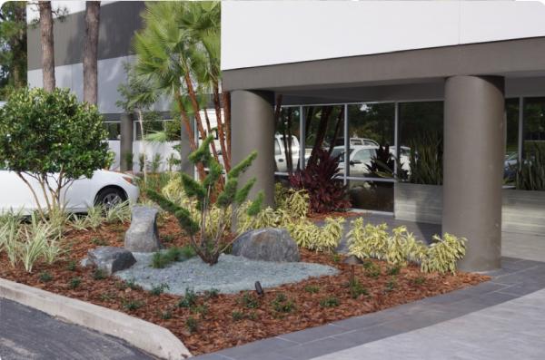 Tropic Greenery