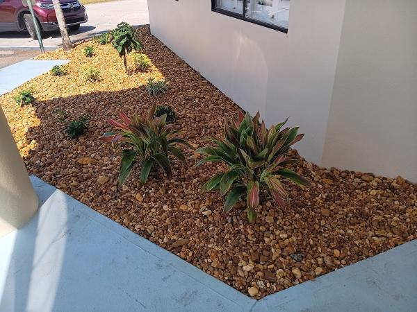 Tropic Greenery