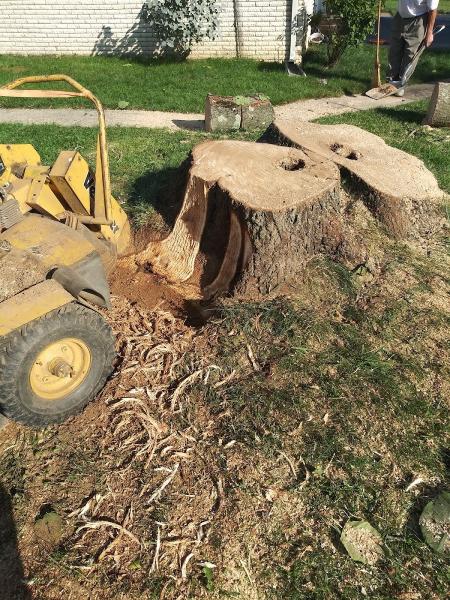 Father & Sons Tree Stump Removal
