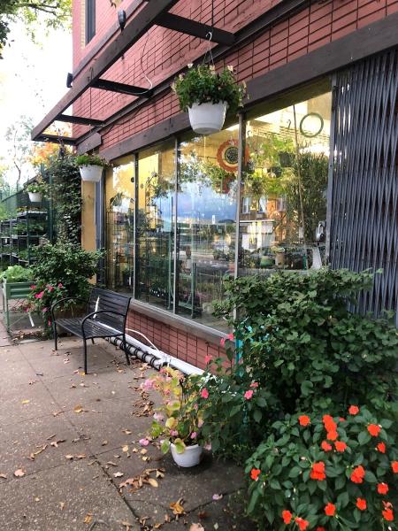 Ginkgo Gardens
