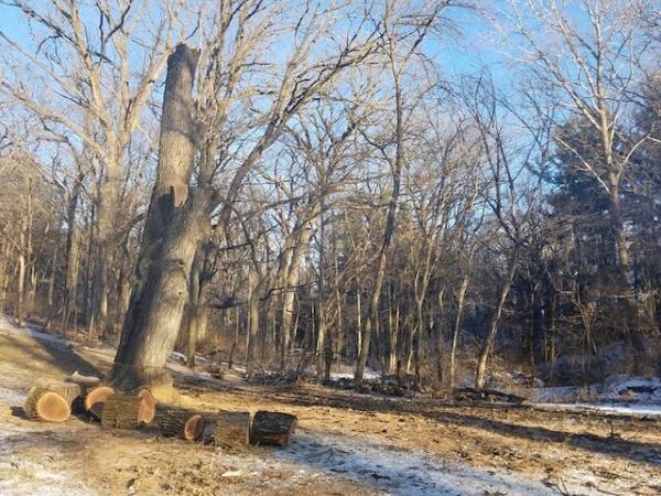 Howard Forest & Prairie