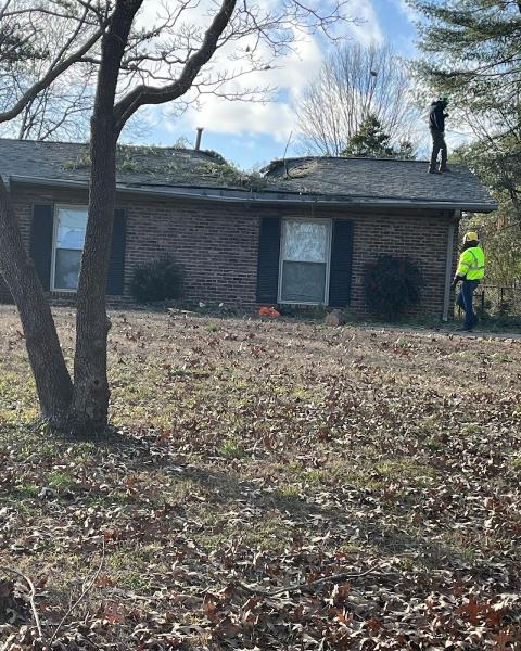 JSB Tree Services & Mowing