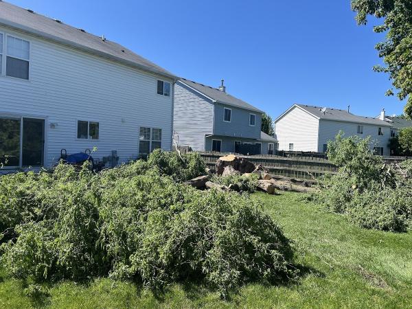 Tried & True Tree Care LLC