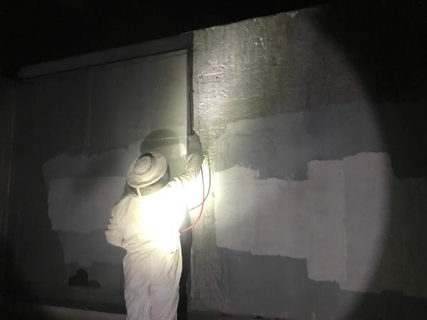 Paino Pest Management