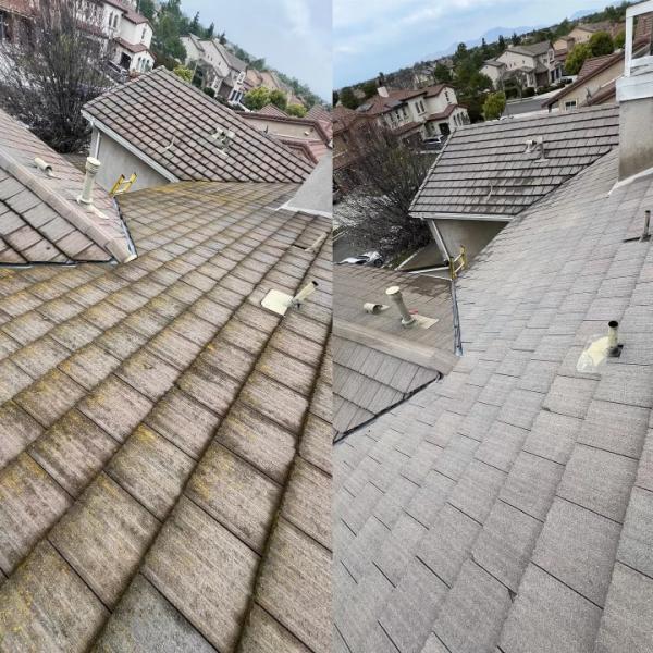 Window Wizards