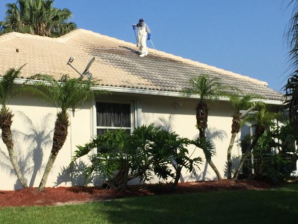 Bluewater Pressure Cleaning LLC